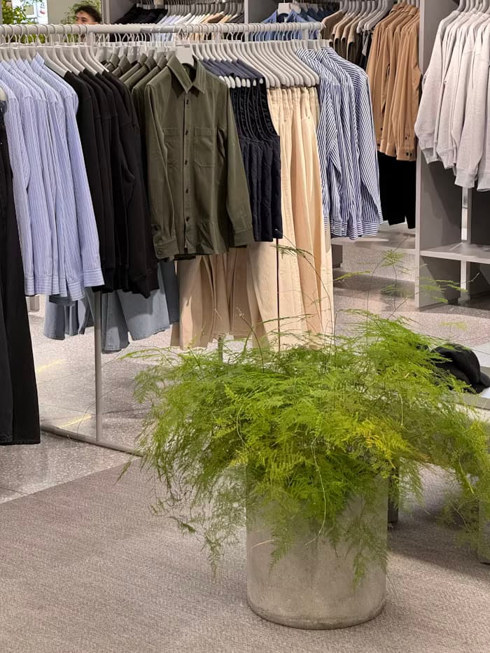 Sustainable Fashion Solutions